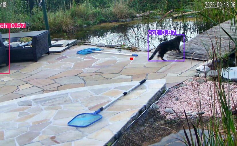 FCATS: My Quest to Outsmart Cats with Code